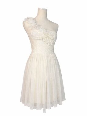 American Rag Cream One Shoulder Lace Tulle Dress Floral Applique Fit & Flare XS